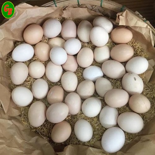 Trứng gà ác lạt khênh 25kg