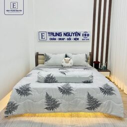 Bộ drap Tencel Trung Nguyên 1m6 x 2m