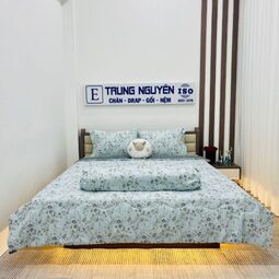 Bộ drap Tencel Trung Nguyên 1m x 2m