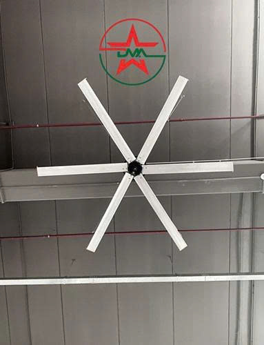 Quạt trần cánh lớn ĐMA