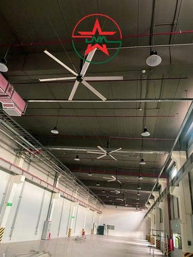 Quạt trần cánh lớn ĐMA