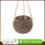 Coconut hanging planter