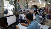 Dịch vụ hải quan