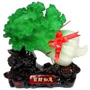 Bắp cải tài lộc 10cm