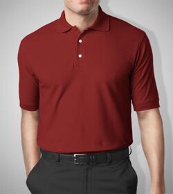 Đồng phục áo polo