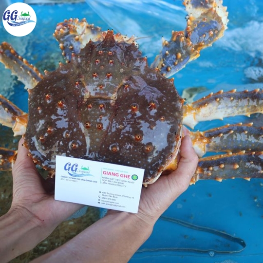 King Crab