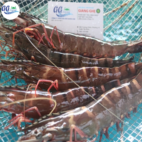 Tôm sú biển