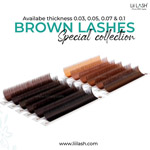 Brown lashes