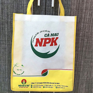 Túi vải không dệt