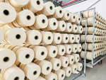 Sợi cotton