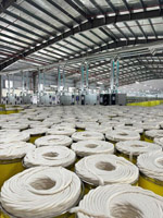 Sợi cotton