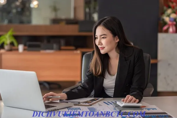 Dịch vụ báo cáo thuế chuyên nghiệp