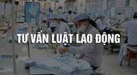 Tư vấn luật lao động