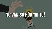 Tư vấn sở hữu trí tuệ