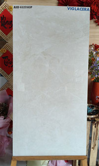 Gạch ASD 61255GM
