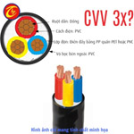CVV-3x10 - Cáp đồng 3 lõi cách điện PVC 300/500V Cadivi 56000641
