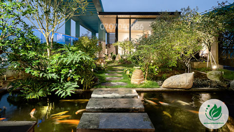Hồ cá Koi trên sân thượng