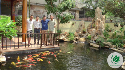 Thiết kế thi công hồ cá Koi đẹp