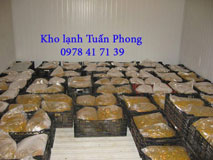 Kho lạnh bảo quản chanh dây