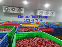 Kho lạnh bảo quản nông sản