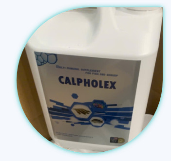 Khoáng nước Calpholex