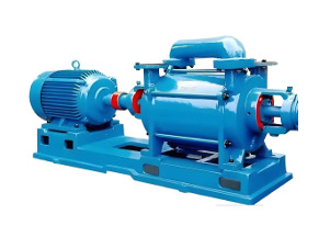 2SK Two Stage Water Ring Vacuum Pump