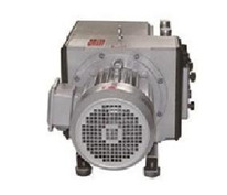 ZYBW-F Series Oil-Free Rotary Vane Pump