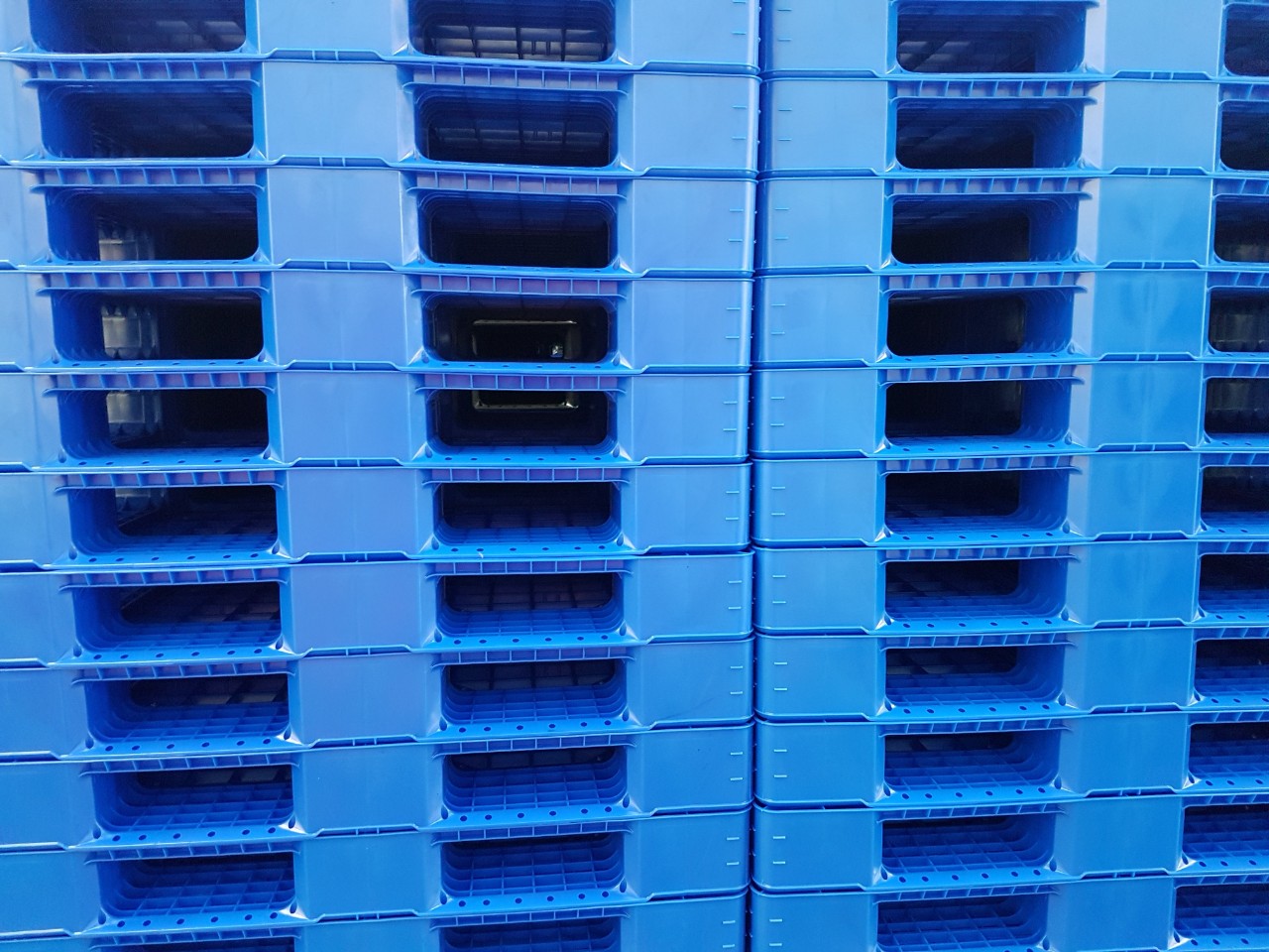 Pallet nhựa