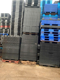 Pallet nhựa