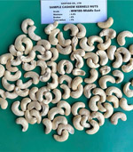 Hạt điều nguyên hạt nhân trắng WW180