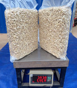 Hạt điều tách hạt WS