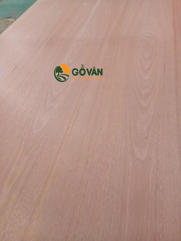 Veneer xoan đào