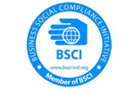 BSCI