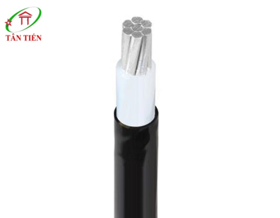 Dây cáp điện Lion AXV/DSTA 400 Lion