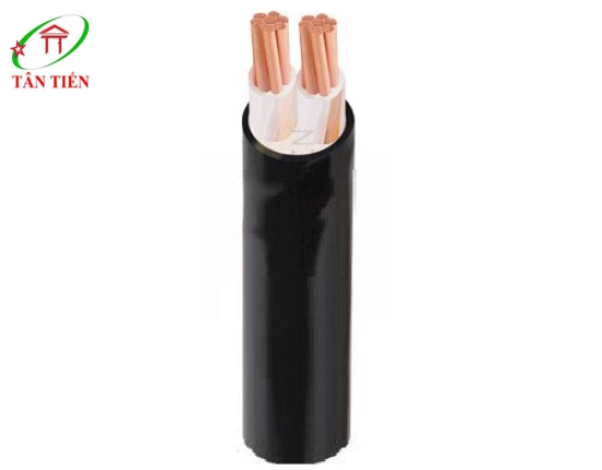 Dây cáp điện Lion CXV/DSTA 2x16 Lion