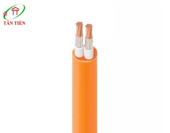 Dây cáp điện Lion CXV/FRT 2x240 Lion