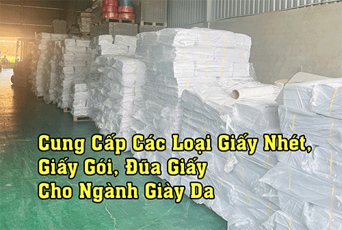 Giấy nhét giày da