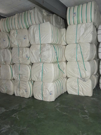 Ruột đệm