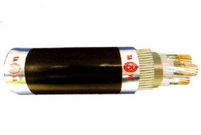 Dây cáp đồng chống cháy Taya