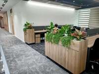 Cho thuê cây xanh văn phòng