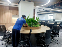 Cho thuê cây xanh văn phòng