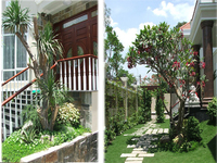 Thiết kế biệt thự sân vườn