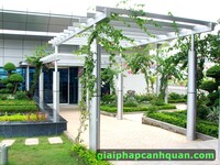 Thi công cảnh quan