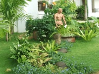 Thiết kế sân vườn