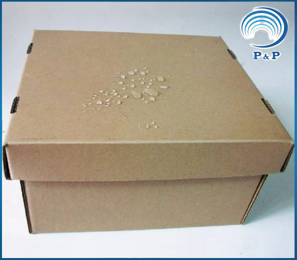 Hộp Carton phủ màng Metalize