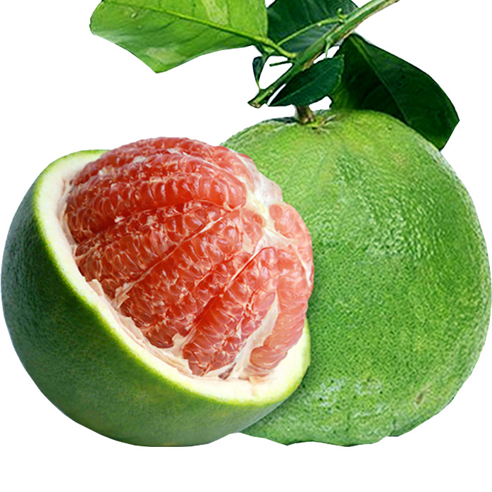 Bưởi da xanh