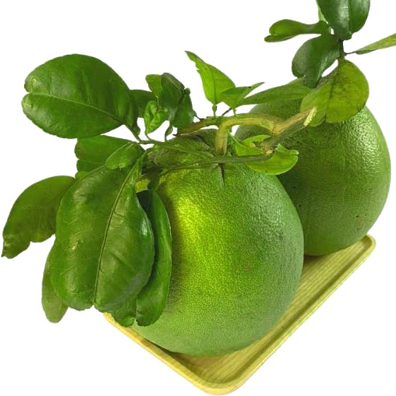 Bưởi da xanh