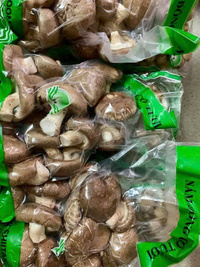 Nấm đông cô