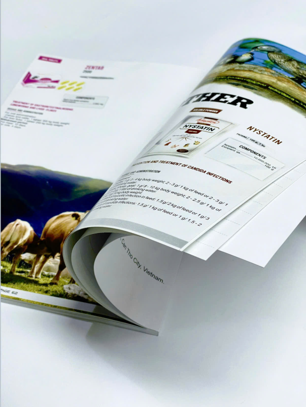 In Catalogue