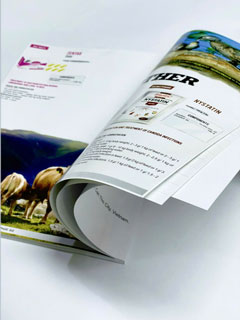In Catalogue